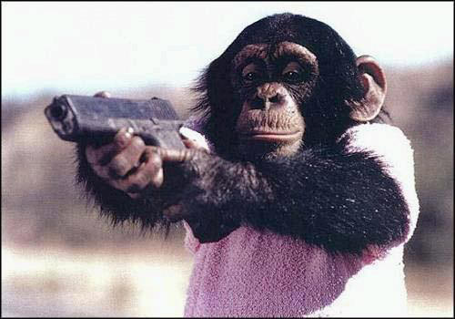 chimpanzee_glock.jpg